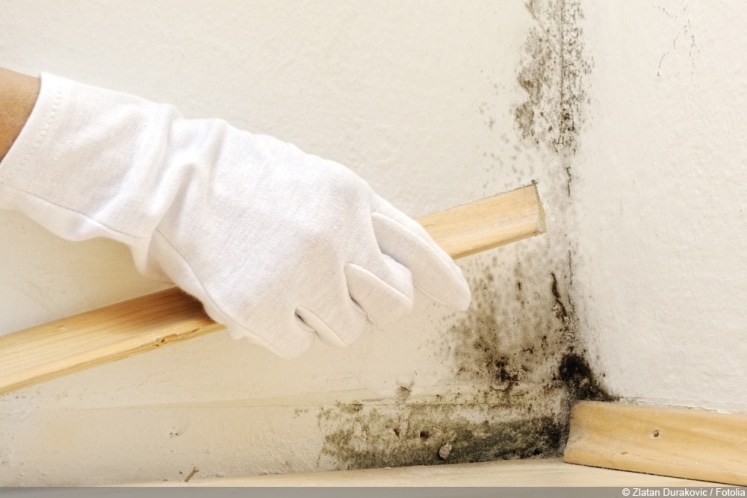 Wie Bekommt Man Farbgeruch Aus Der Wohnung Feuchtraum & Nassraum | Definition und Unterschiede - Hausgarten.net
