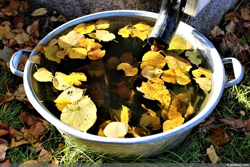 Regenwasserversickerung