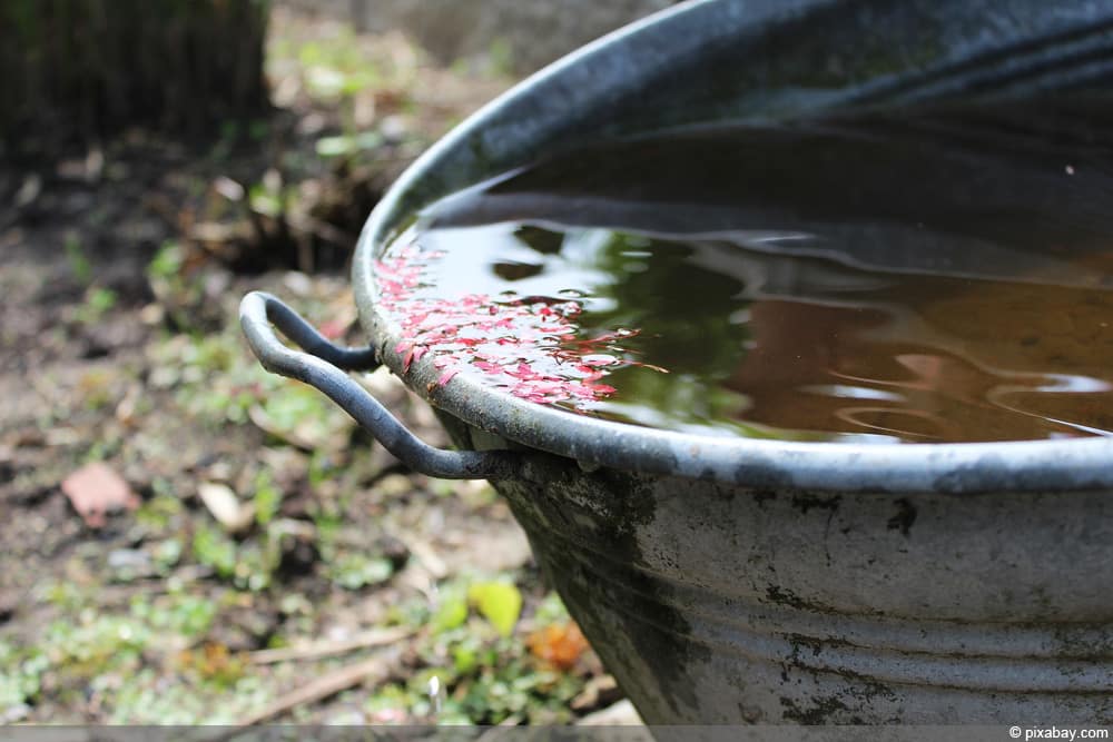 Regenwasserversickerung