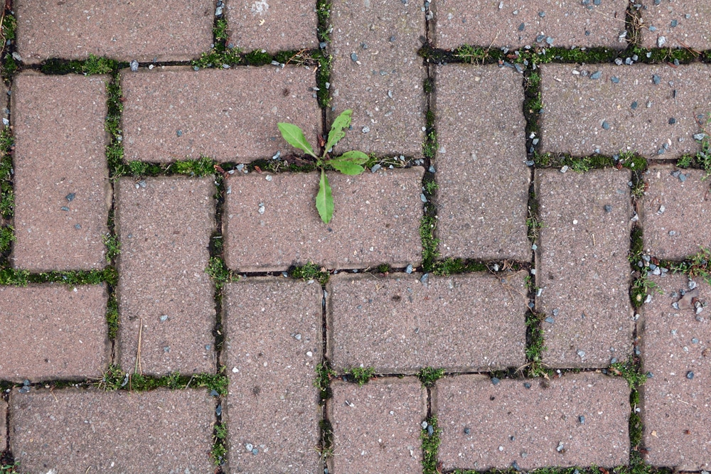 Rostflecken auf Steinplatten