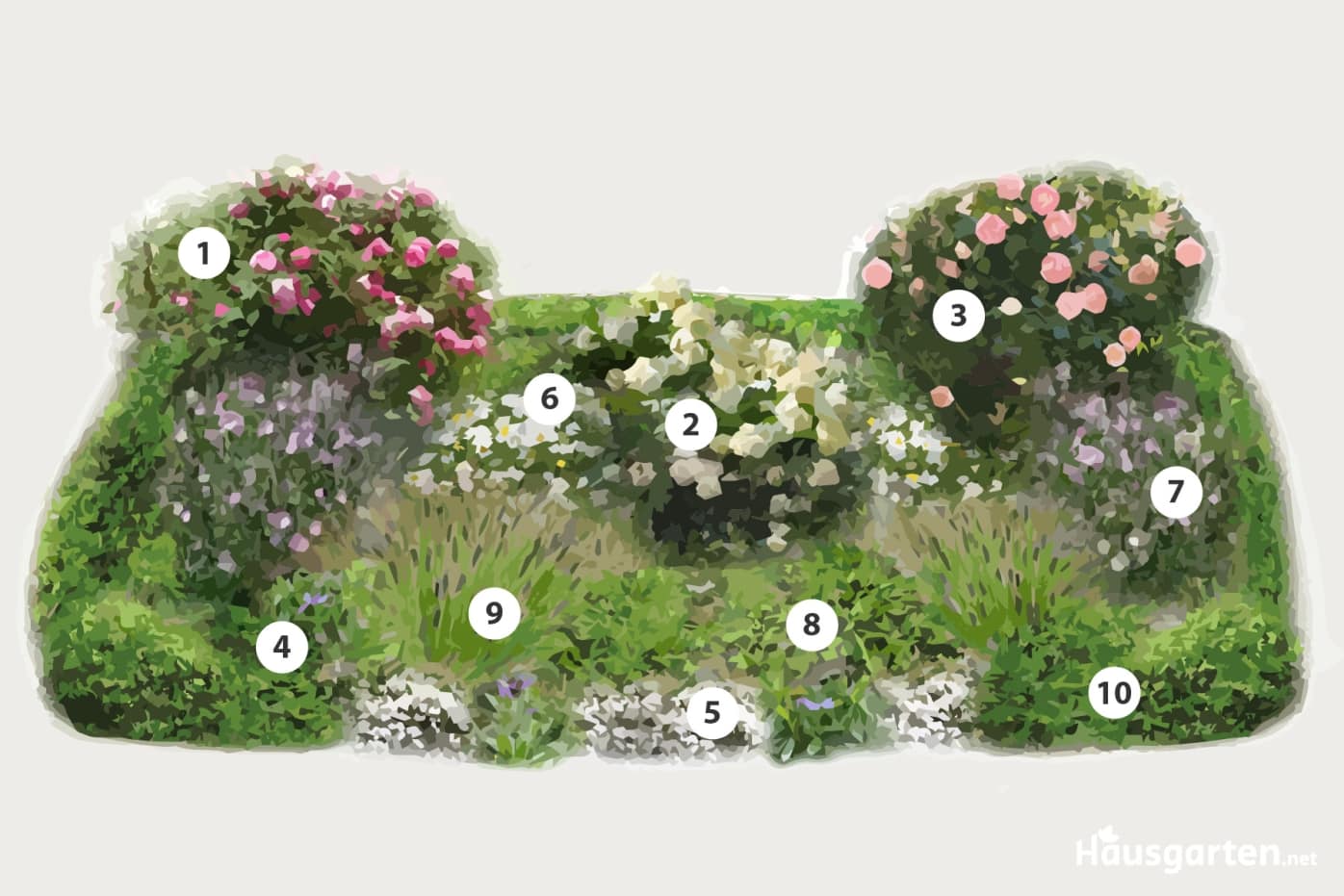 6 Ideen zum Rosenbeete gestalten Pflanzplan & Ideen für Rosenbeete
