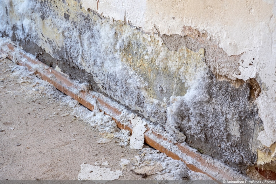 Stockflecken an der Wand So werden die Flecken entfernt