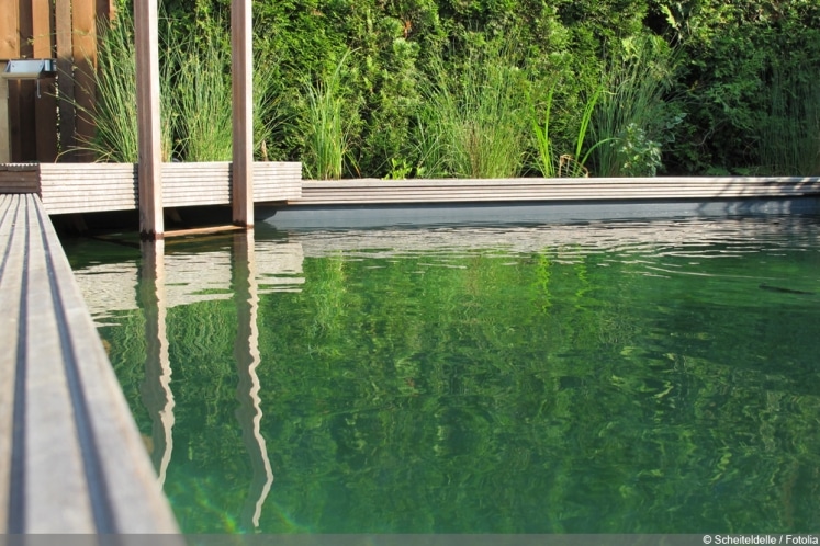 Wasserbecken im Garten Eine Alternative zum Teich?