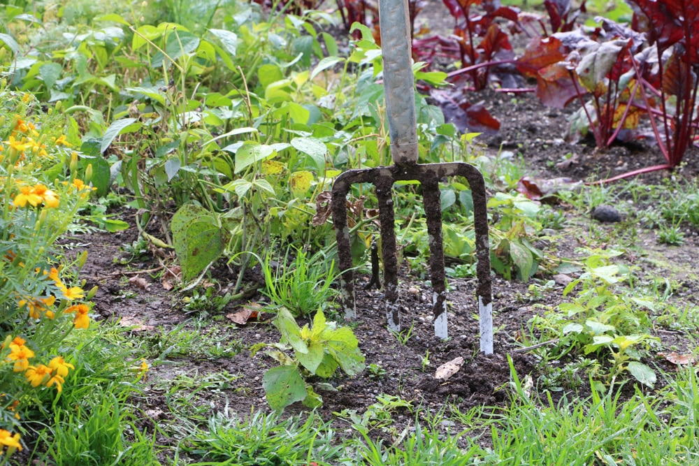 Kräuterbeet selber bauen