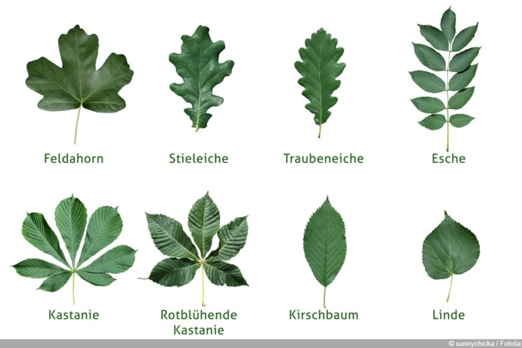 PHO BNB WH:GLEICHE ZAHLEN 10 Klemmenmarkierung BNB WH:GLEICH