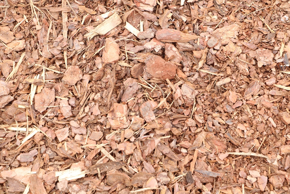 Rindenmulch