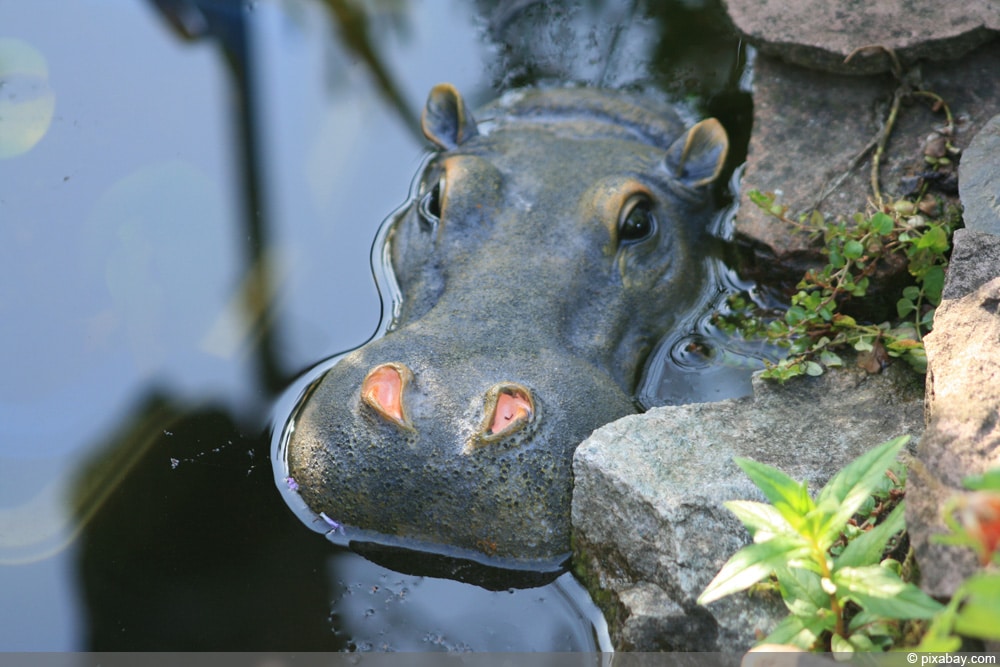 Wassertrog aus Naturstein