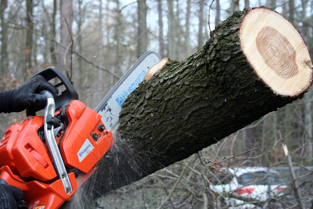 Kettensäge im Einsatz