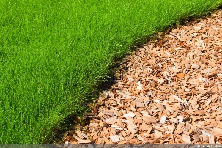 9 Alternativen zu Rindenmulch Pinienrinde & Co Was ist besser
