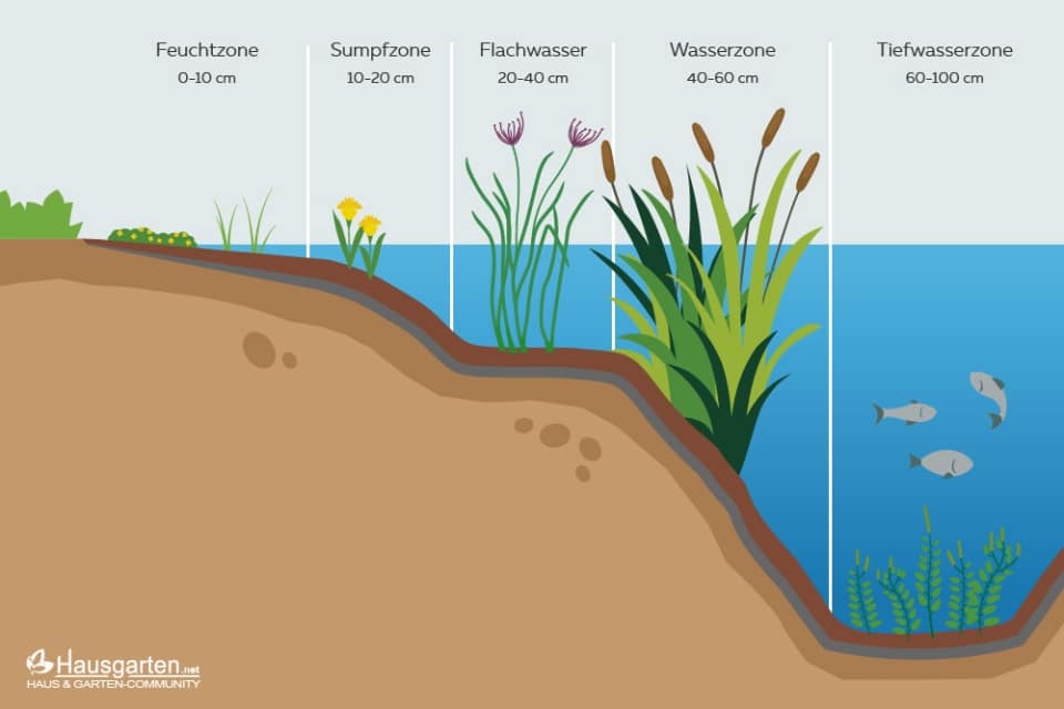Aus Gartenteich einen Schwimmteich machen umbauen in 8 Schritten