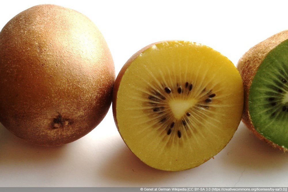 Warum Sind Einige Kiwi Gelb