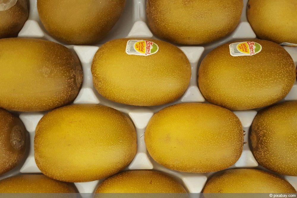 Gold Kiwi - gelbe Kiwi 'SunGold'