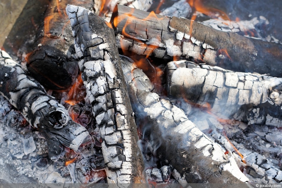 Holzasche als Dünger Diese 70 Pflanzen lieben Grill und Holzkohle