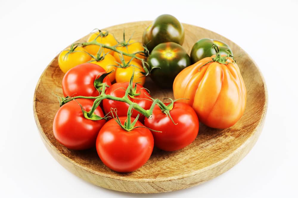 Tomaten mögen Holzasche als Dünger