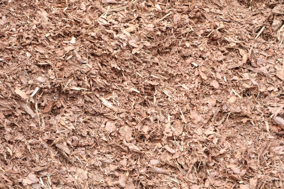 Rindenmulch oder Hackschnitzel was ist besser? Infos zum Verlegen