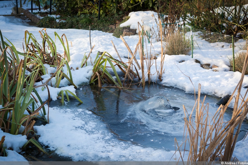 Gartenteich im Winter