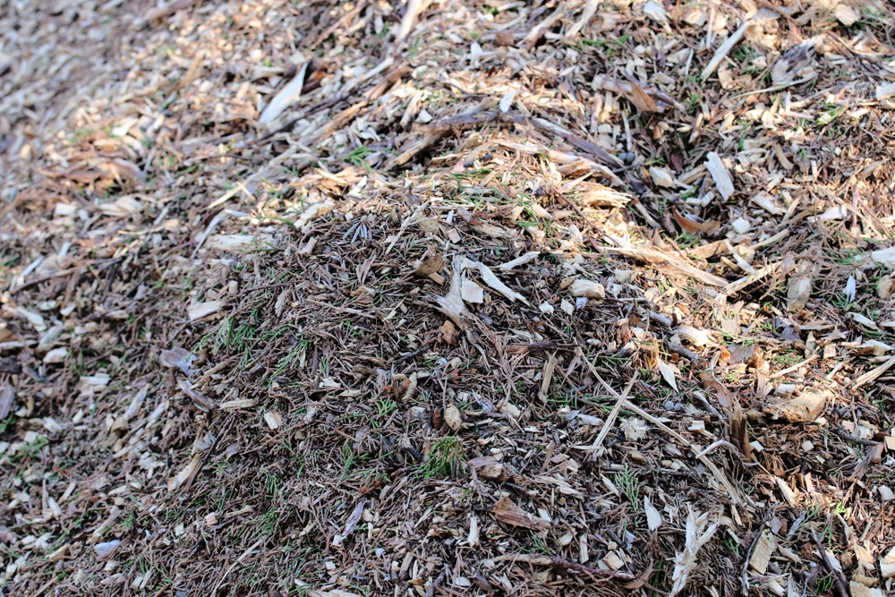 Mulch