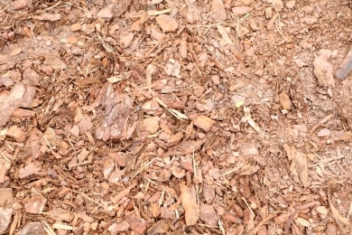 Rindenmulch