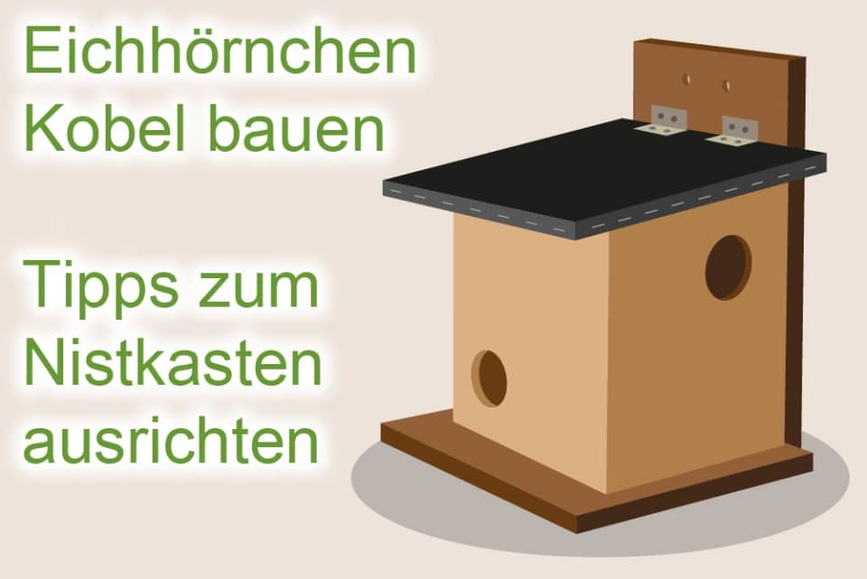 Vogelhaus und Nistkasten vor Katzen sichern so schützen Sie Vögel