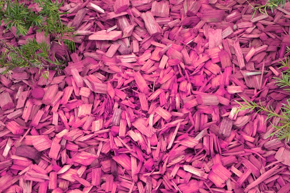 9 Alternativen zu Rindenmulch Pinienrinde & Co Was ist besser