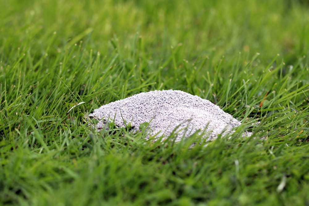 Rasendünger im Frühjahr verwenden