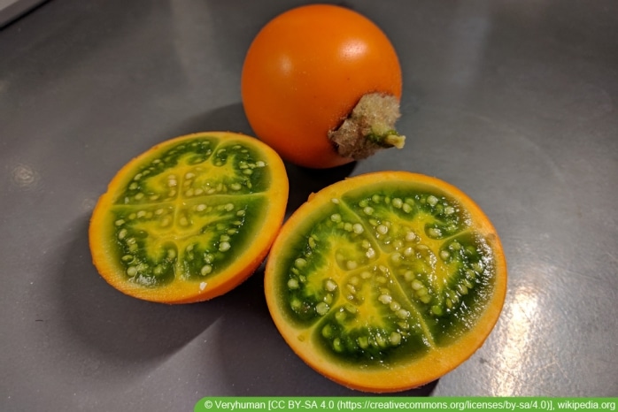 Lulo - Solanum quitoense - Quitorange