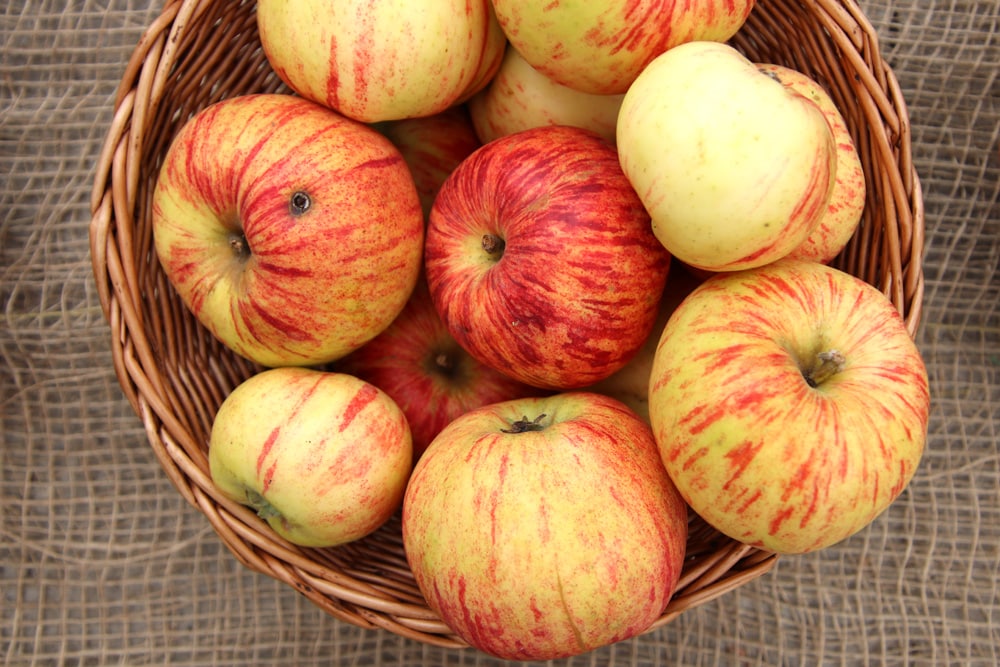 alte Apfelsorten: Gravensteiner