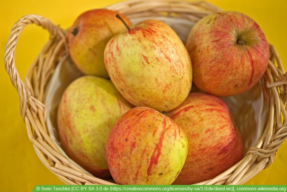 alte Apfelsorten: Prinzenapfel, Hasenkopf, Melonenapfel & Klapperapfel
