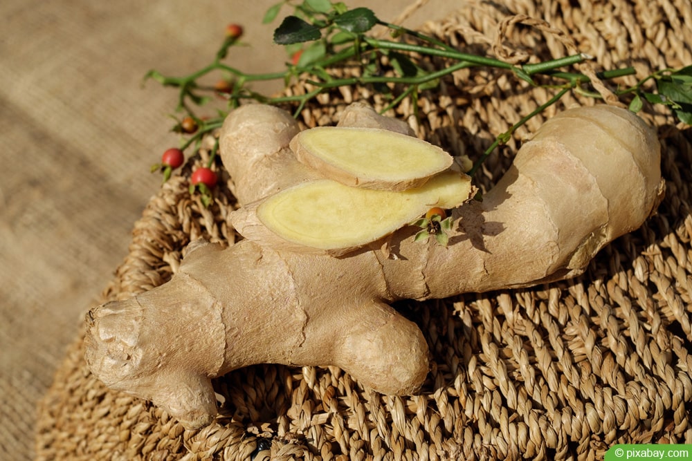 Ingwer für Kräuterlimonade