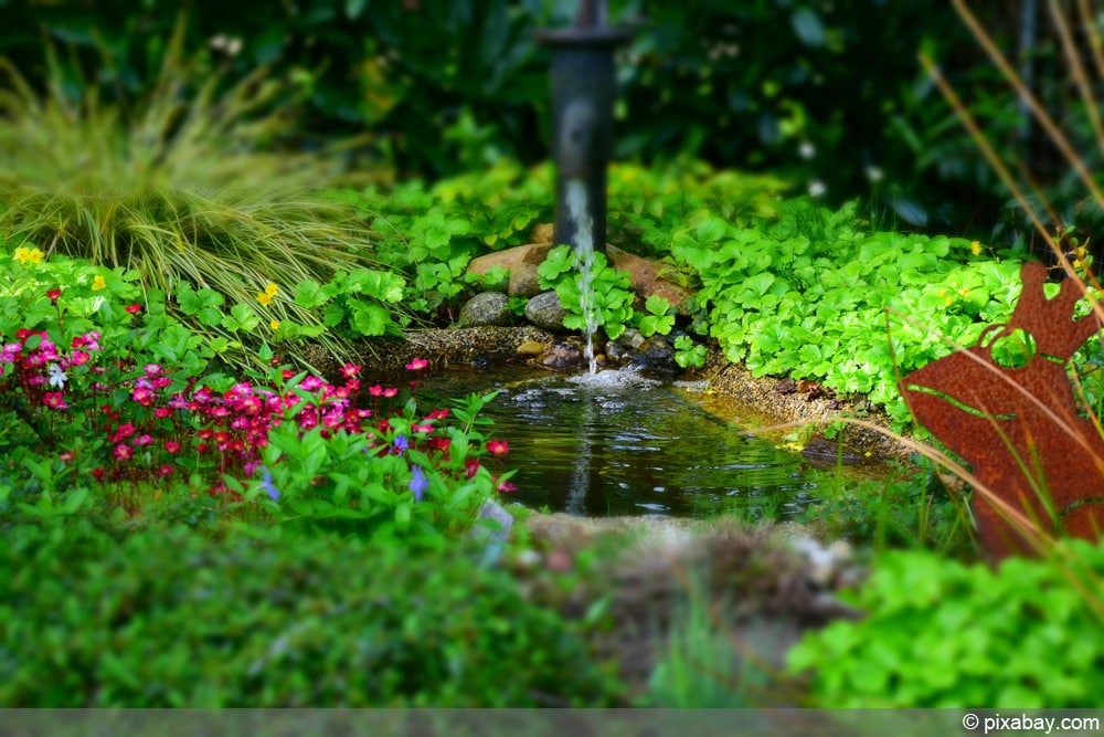 Garten ohne Rasen: Gartenteich