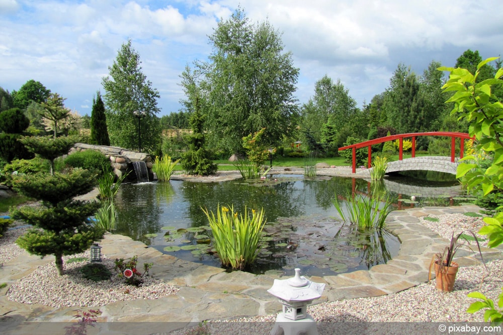 Garten ohne Rasen: japanischer Garten