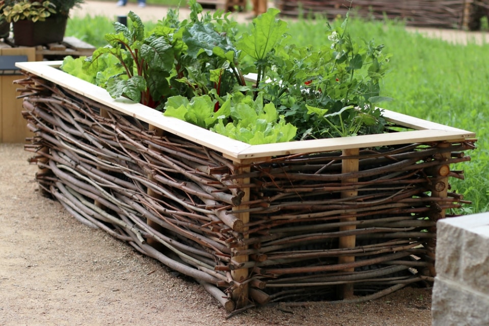 DIY Weinspalier bauen Rankhilfe für Weinreben