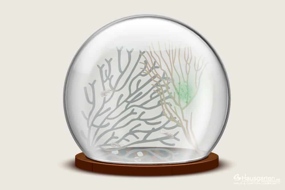 Ecosphere