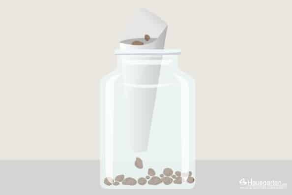 Ökosystem im Glas MiniBiosphäre selber bauen