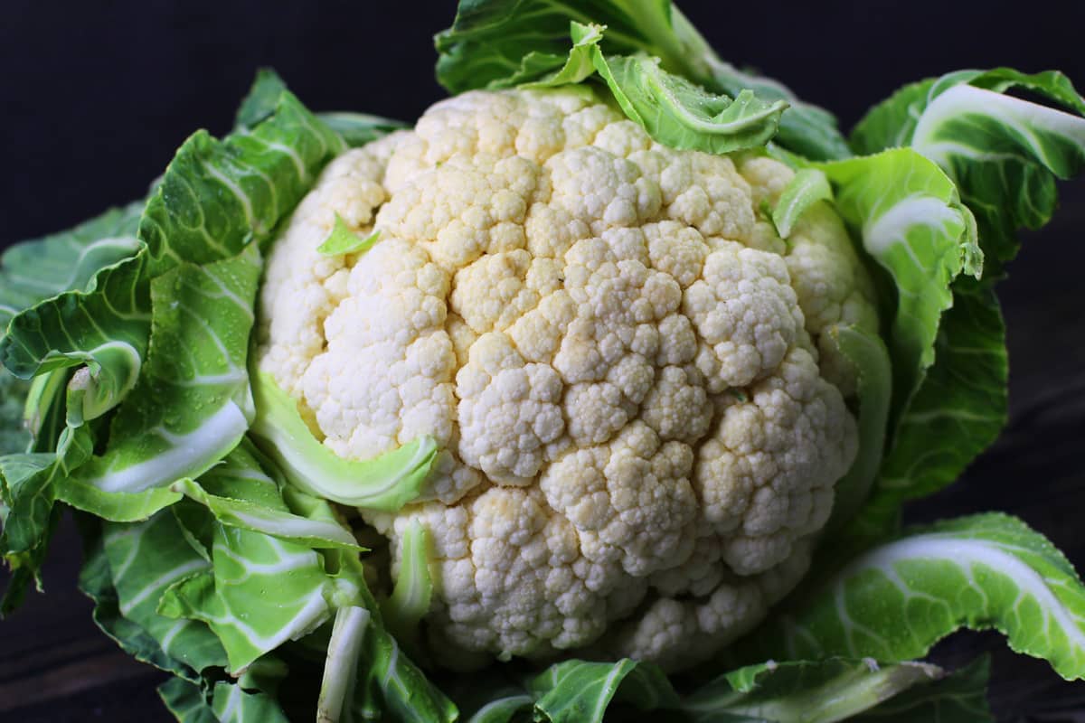 Blumenkohl - Brassica oleracea var. botrytis