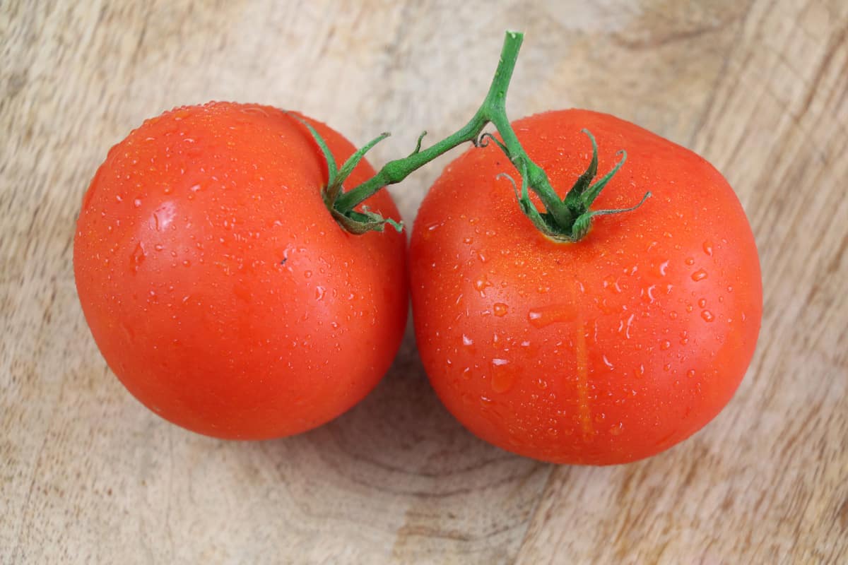 frische Tomaten