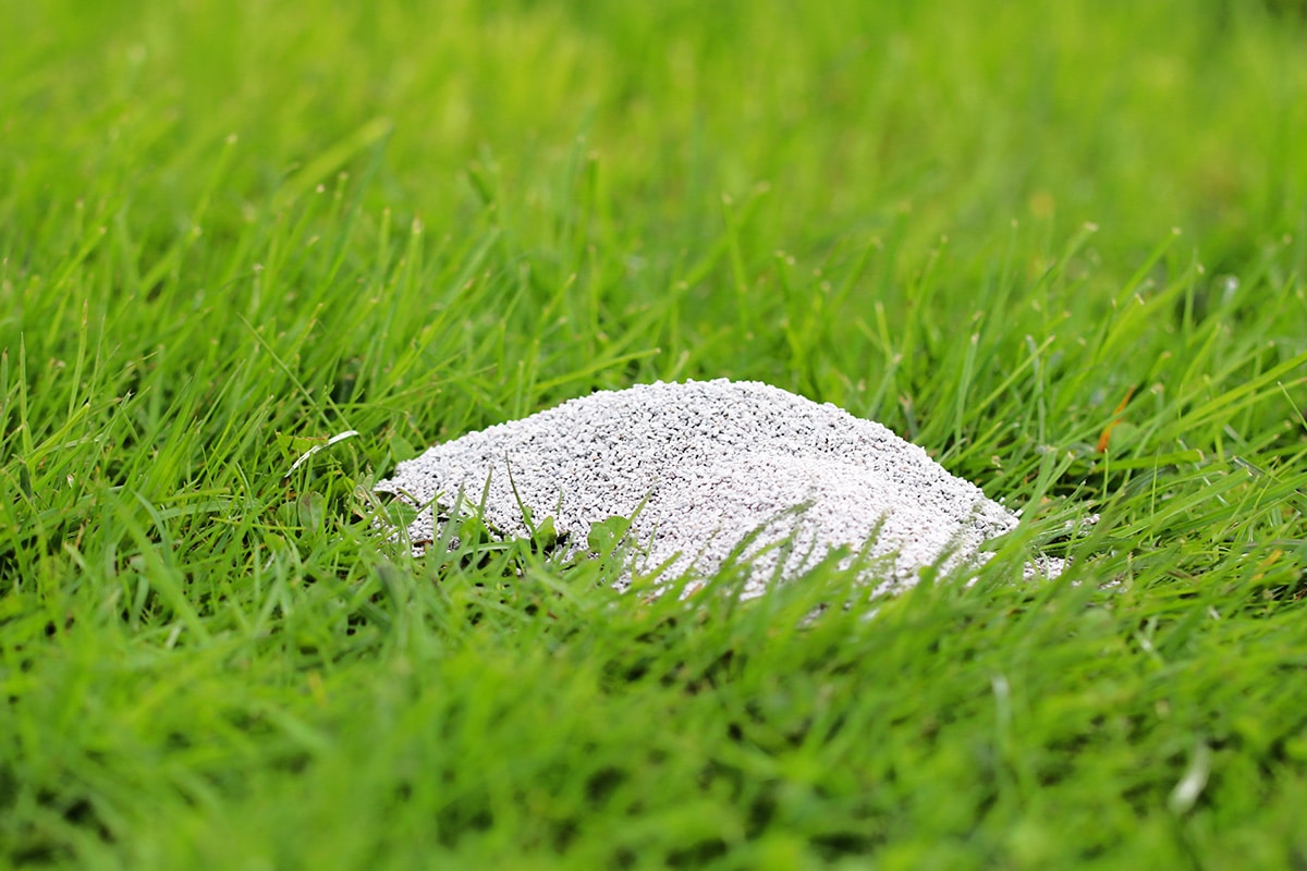 Gartenkalk zum pH-Wert erhöhen