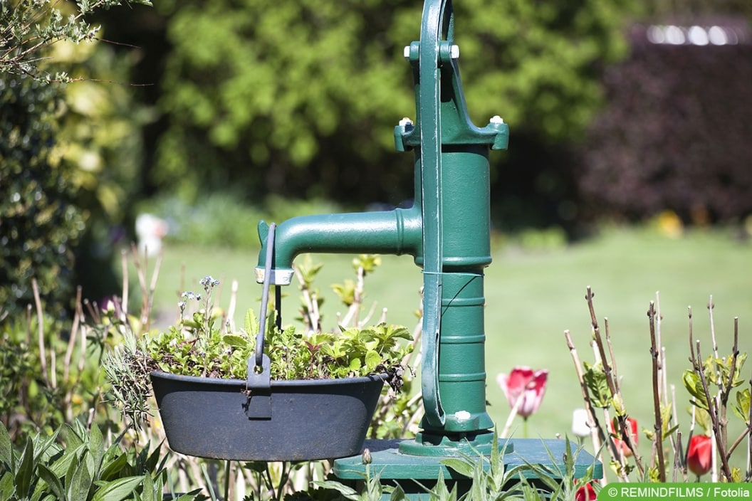 Verwilderter Garten wilden Garten herrichten und neu anlegen