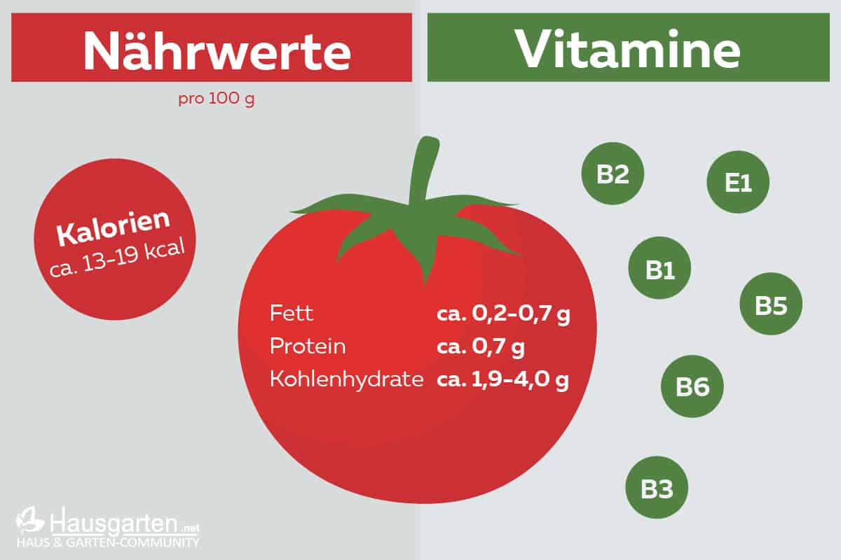 Tomaten: Nährwerte und Vitamine