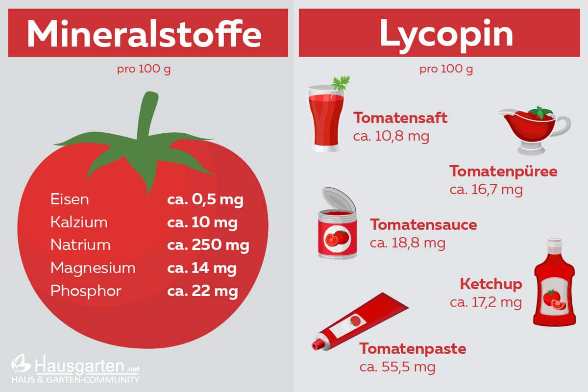 Tomaten - Mineralstoffe - Lycopin