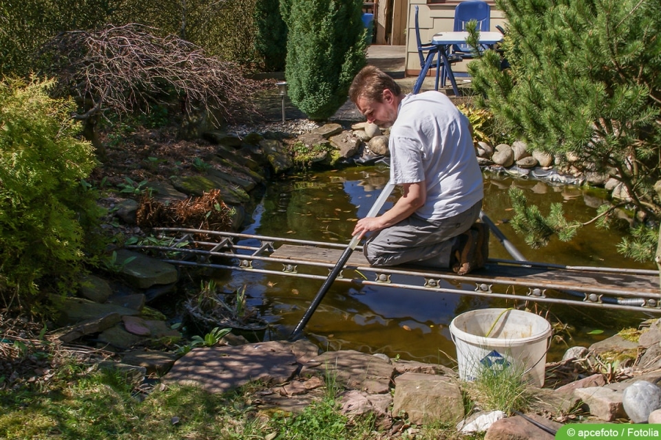 Schwebealgen im Teich 10 Tipps zum entfernen