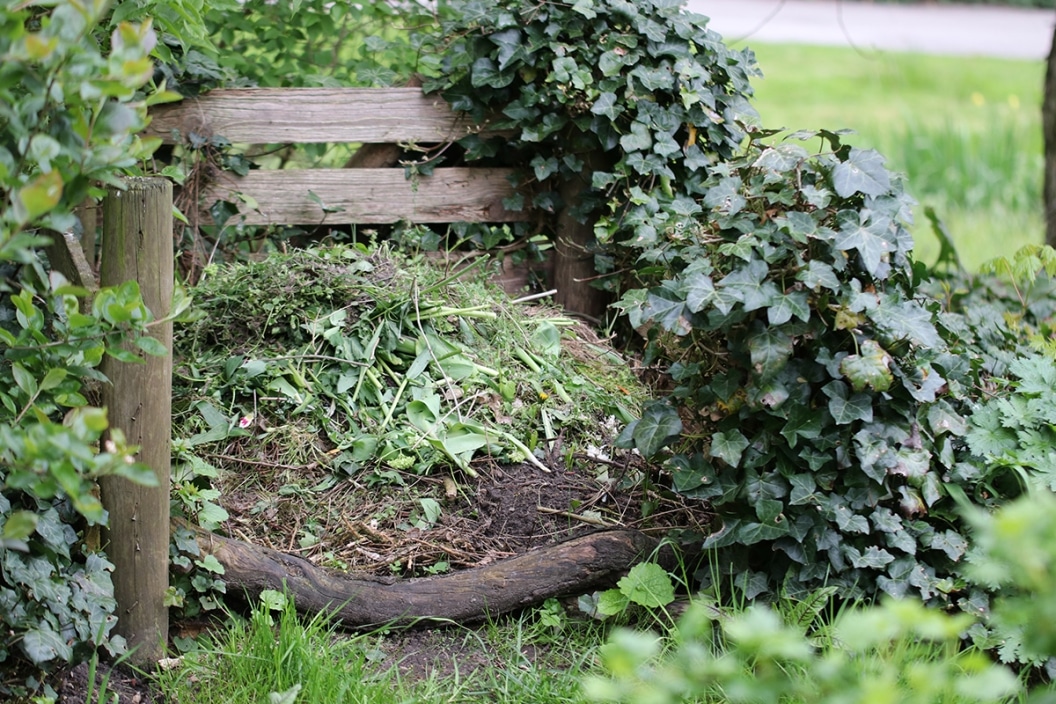 Rosenerde Erde für Rosen selber mischen Zusammensetzung