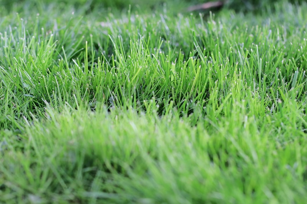 Garten begradigen und Rasenfläche ebnen 11 Tipps