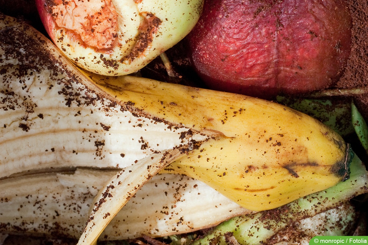 Bananenschale als Rosendünger