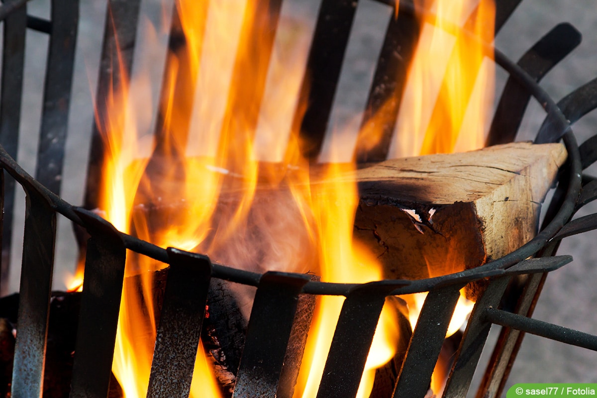 Holzasche als Rosendünger