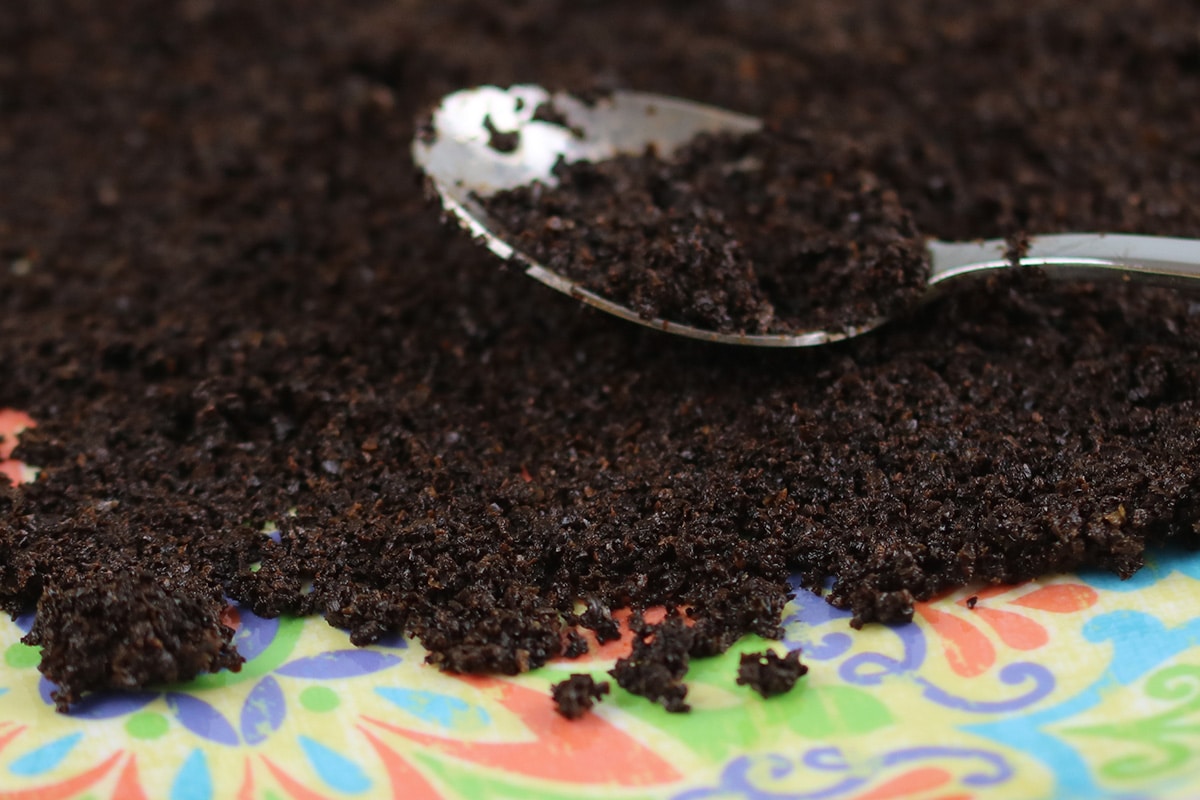 Kaffeesatz als Rosendünger