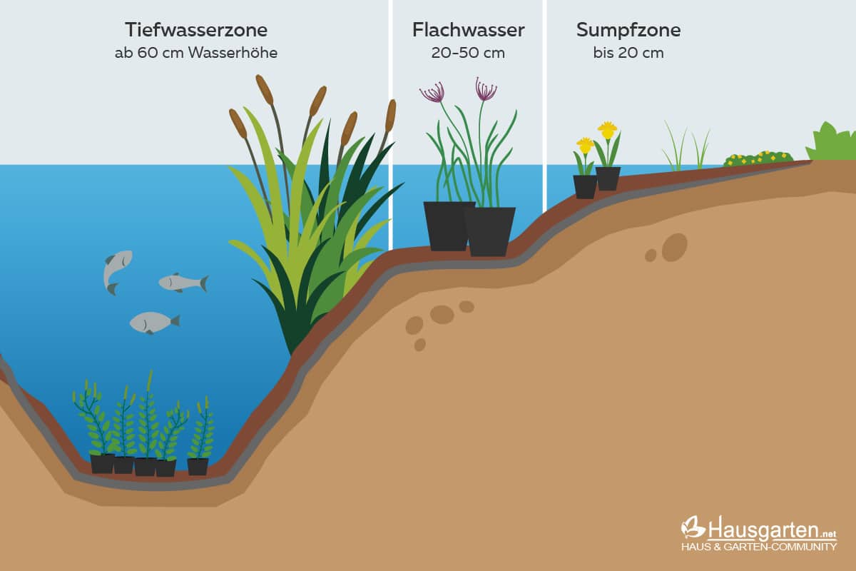 Teichzonen im Hochteich