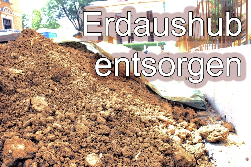 Entsorgung Aushub Kosten