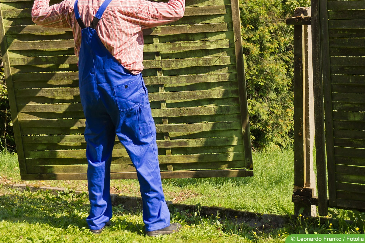 Algen im Garten entfernen