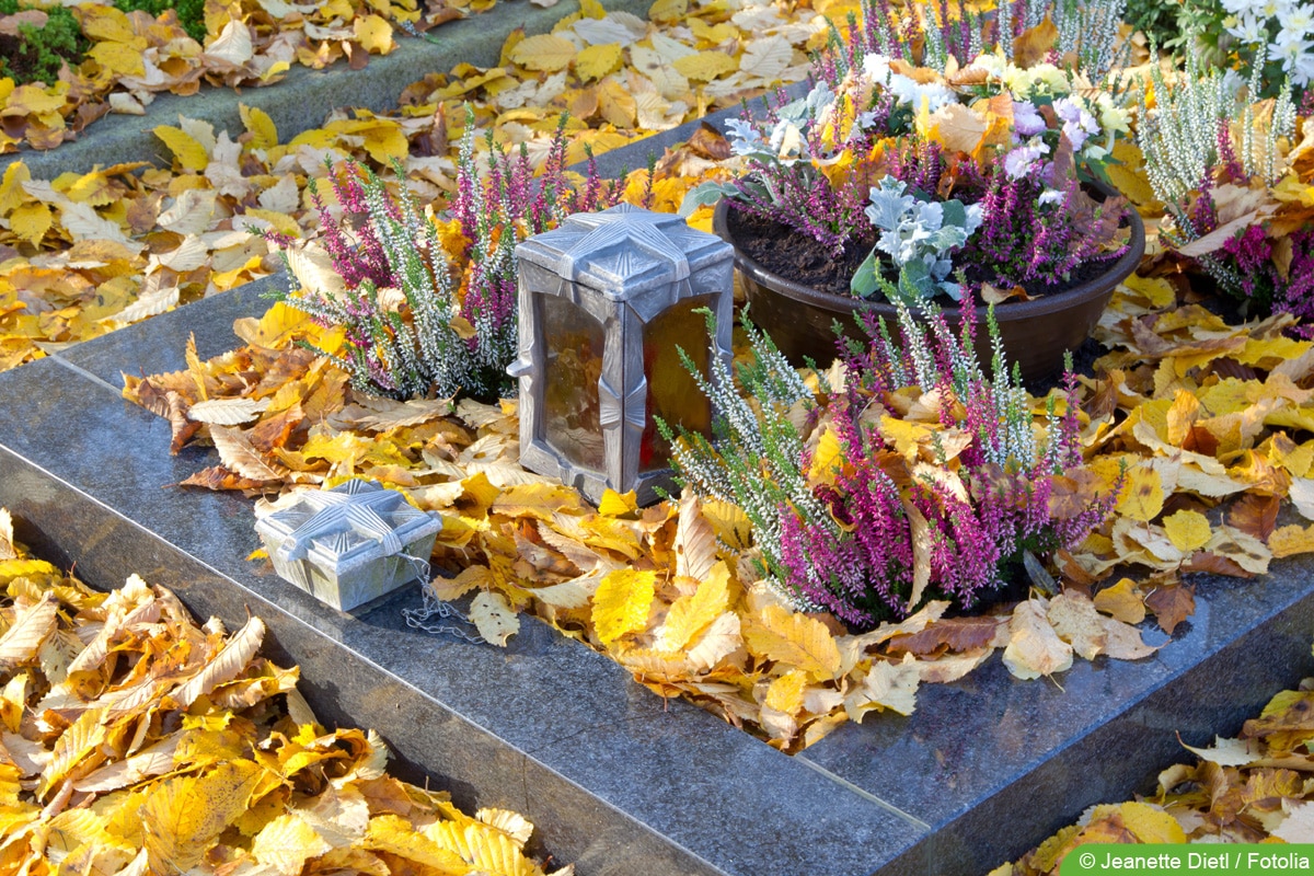 Grabschale herbstlich bepflanzen Ideen zur Grabgestaltung